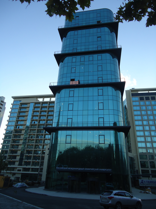 Российский международный олимпийский университет)